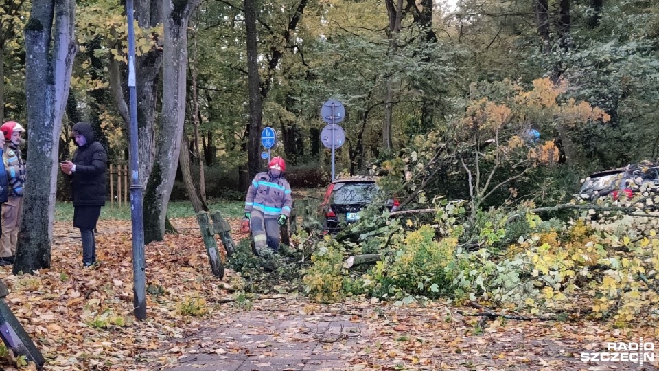 Fot. Przemysław Polanin [Radio Szczecin]