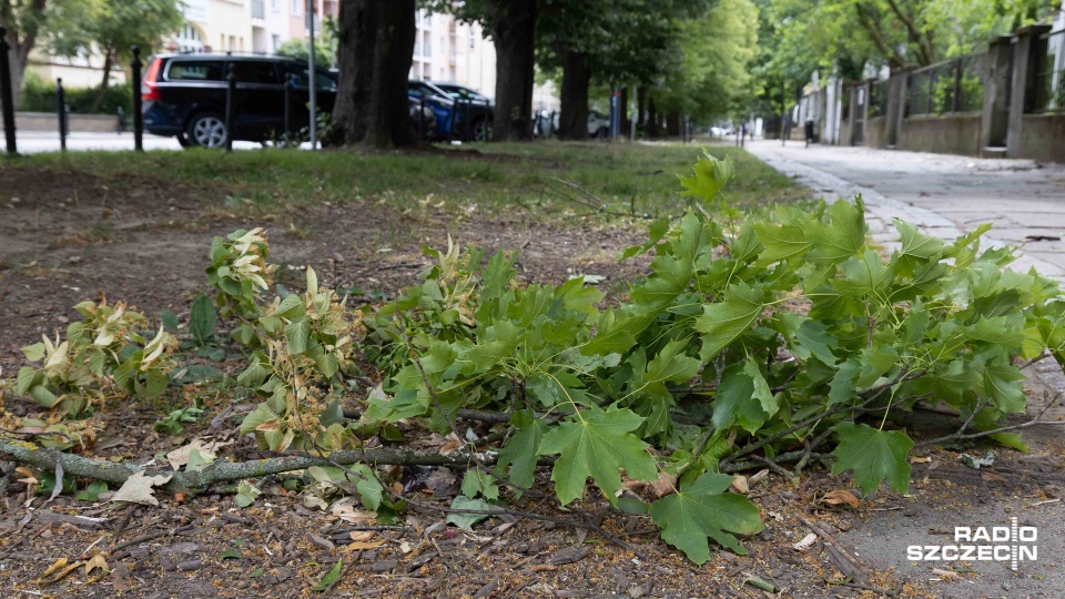 Fot. Robert Stachnik [Radio Szczecin]