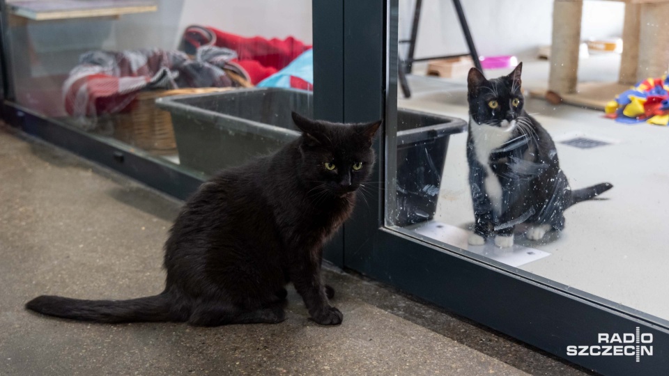 Fot. Robert Stachnik [Radio Szczecin]