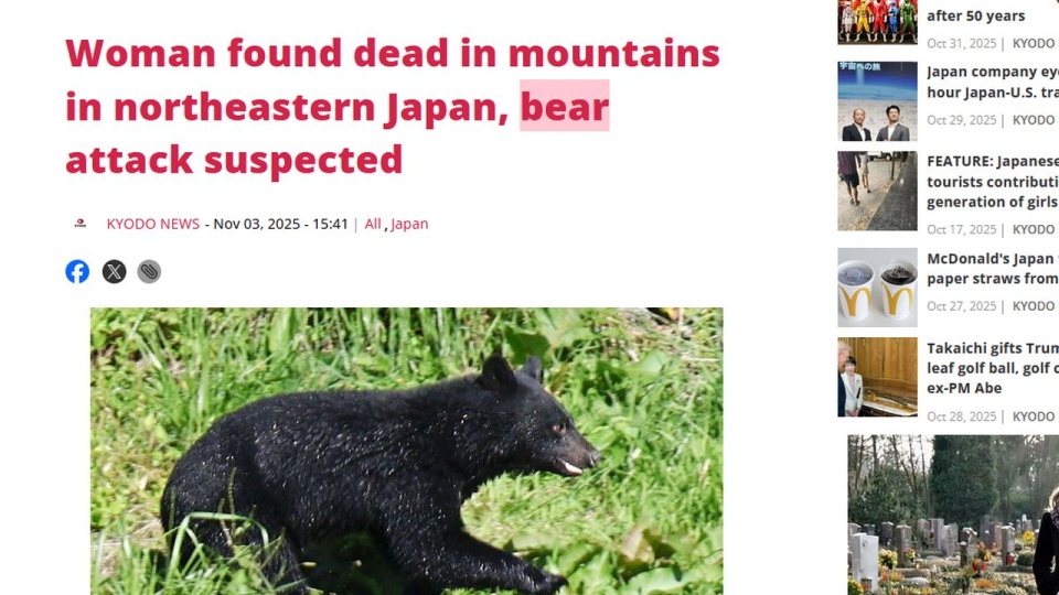W innym ataku niedźwiedzia ranne zostały dwie osoby – poinformowała agencja Kyodo. źródło: english.kyodonews.net