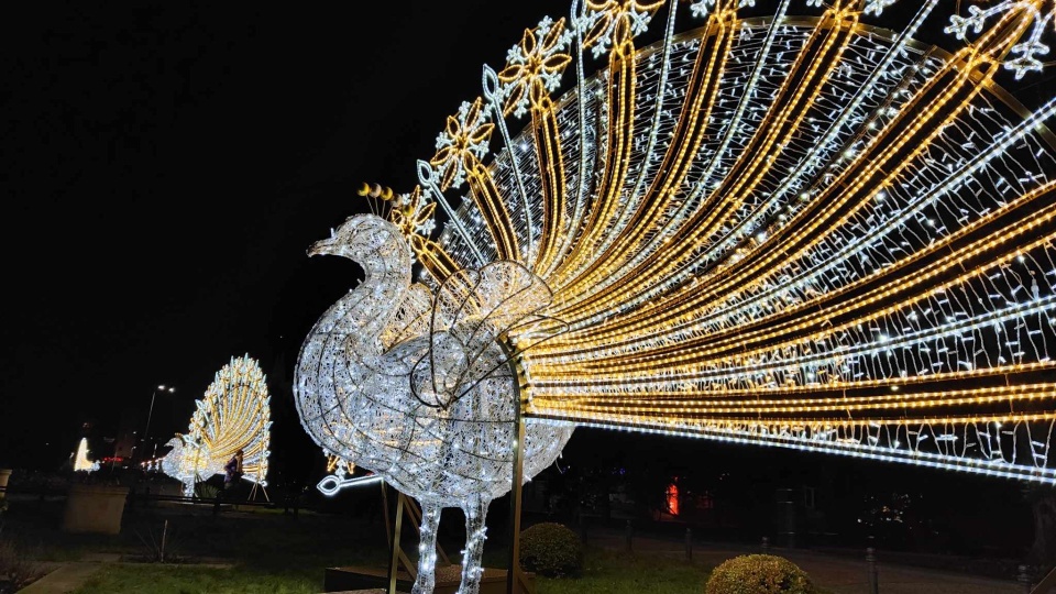 Fot. Przemysław Polanin [Radio Szczecin/Archiwum]