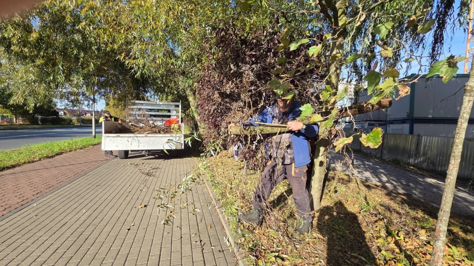 Fot. Facebook / Zielona Brygada Świnoujście