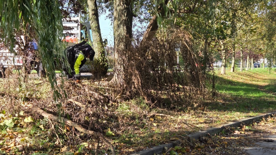 Fot. Facebook / Zielona Brygada Świnoujście
