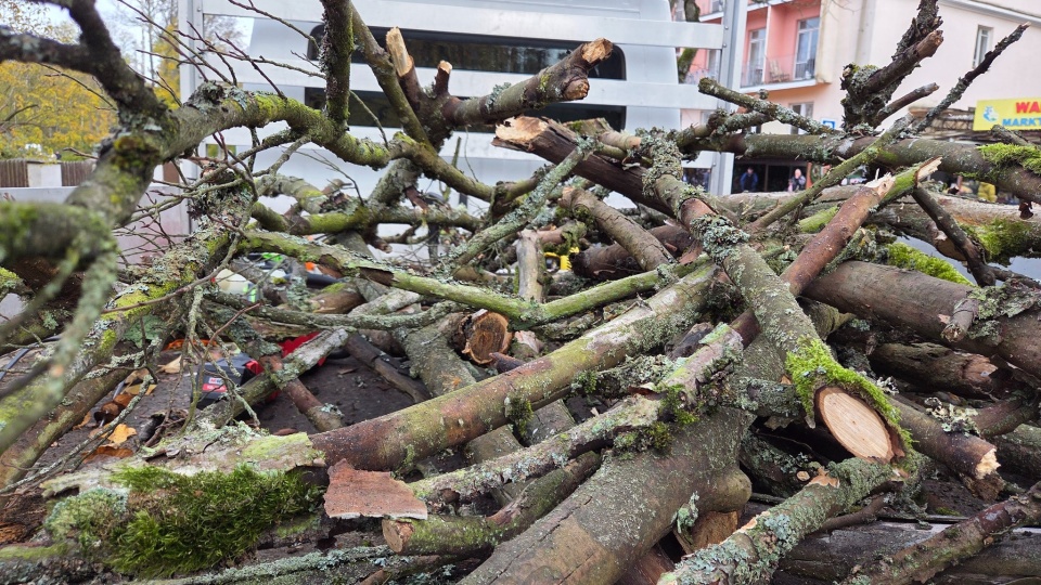 Fot. Facebook / Zielona Brygada Świnoujście