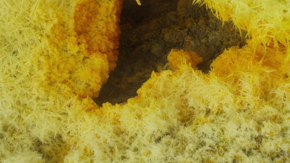 Fot. pixabay.com / Simon (CC0 domena publiczna)