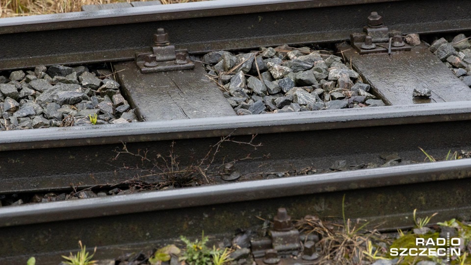 Fot. Robert Stachnik [Radio Szczecin]
