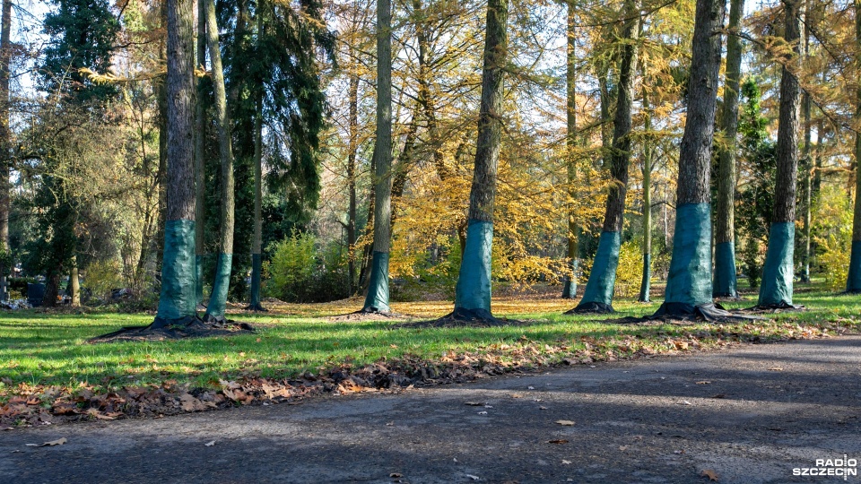 Fot. Weronika Łyczywek [Radio Szczecin]