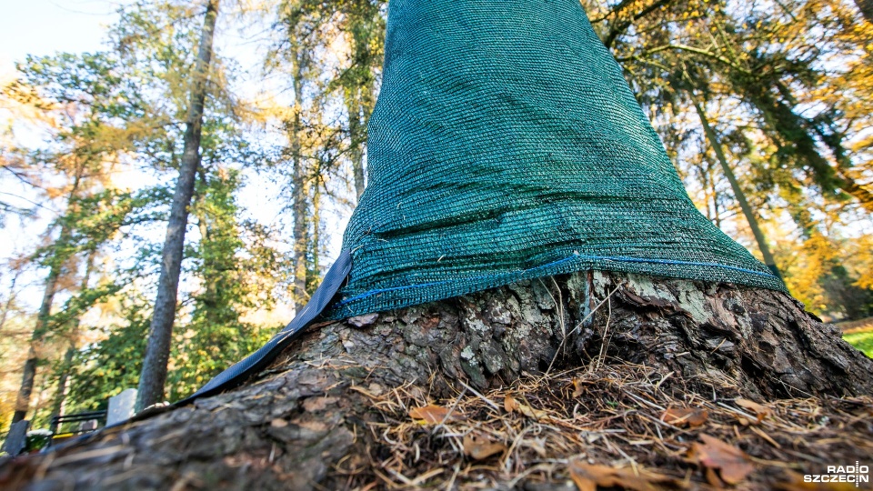 Fot. Weronika Łyczywek [Radio Szczecin]