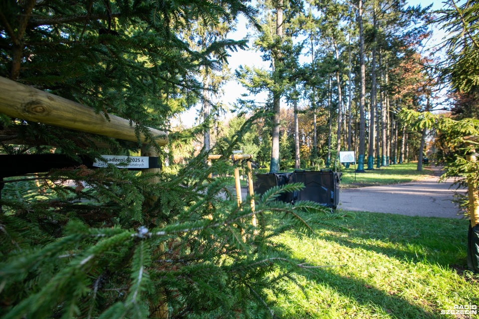 Fot. Weronika Łyczywek [Radio Szczecin]