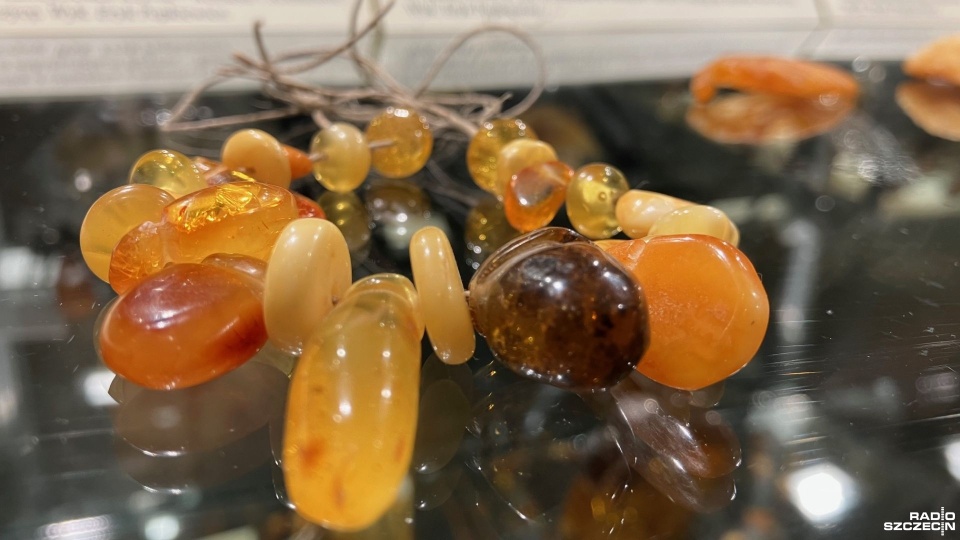 Fot. Joanna Maraszek [Radio Szczecin]