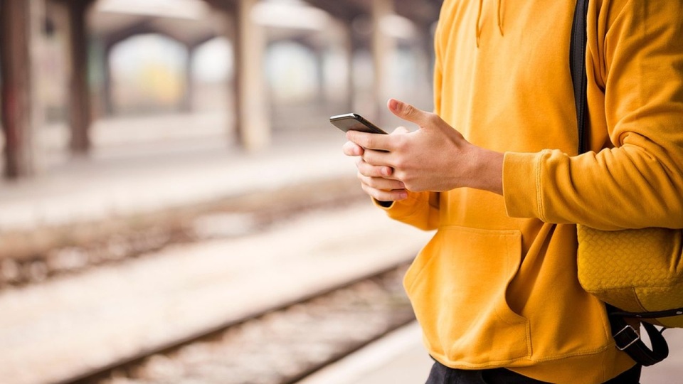 źródło: pixabay.com/pl/5593947/vlrondon/CC0 - domena publiczna