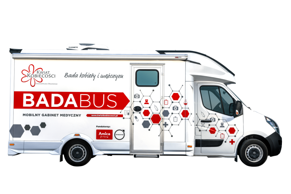 Materiały organizatora.