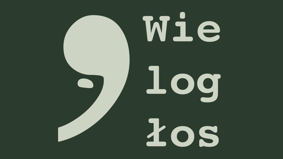 Festiwal Literacki "Wielogłos". Materiały organizatora