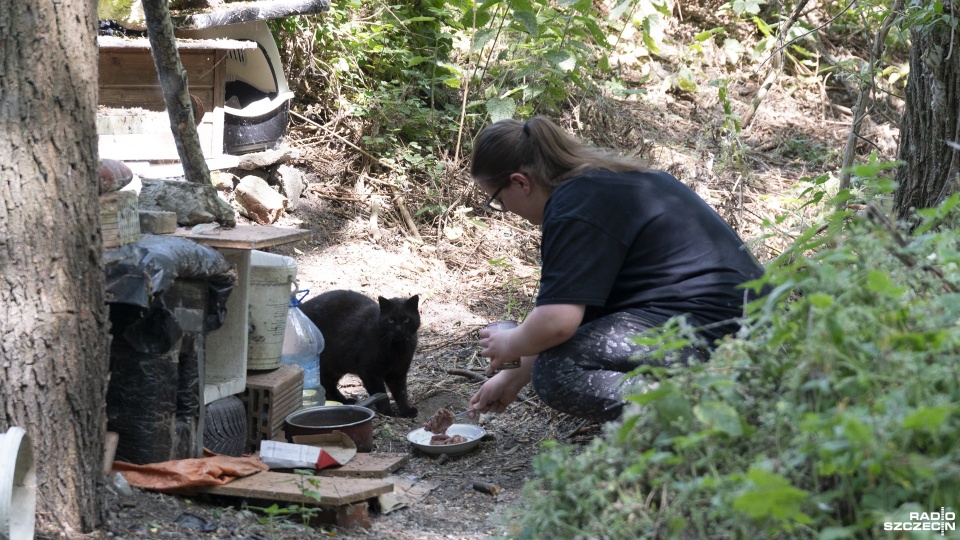 Zdjęcie archiwalne. Fot. Kamila Kozioł [Radio Szczecin/Archiwum]