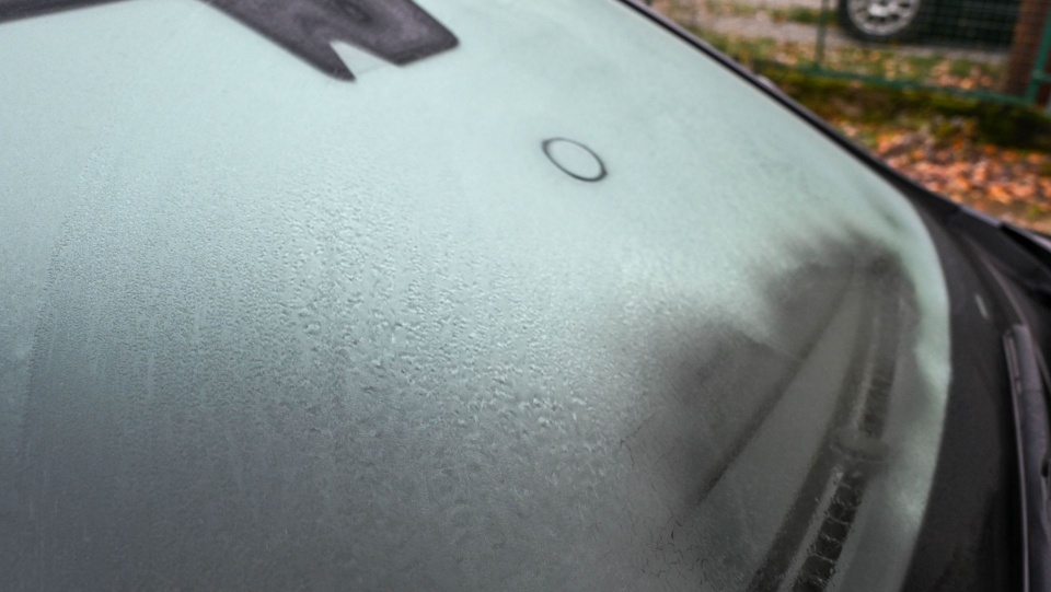 Fot. PAP/Marcin Bielecki