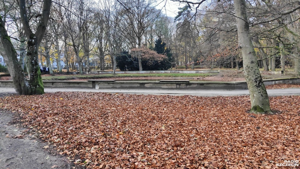 Park Szarmacha w Kołobrzegu. Fot. Przemysław Polanin [Radio Szczecin]