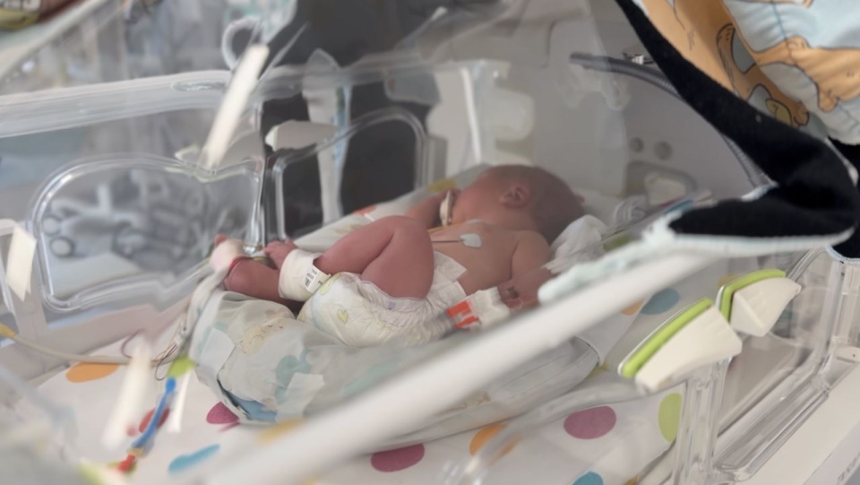 W Netto Arenie odbędzie się w sobotę rodzinny event poświęcony najmłodszym pacjentom, którzy przyszli na świat przed czasem, a także ich bliskim. źródło: USK2Pomorzany