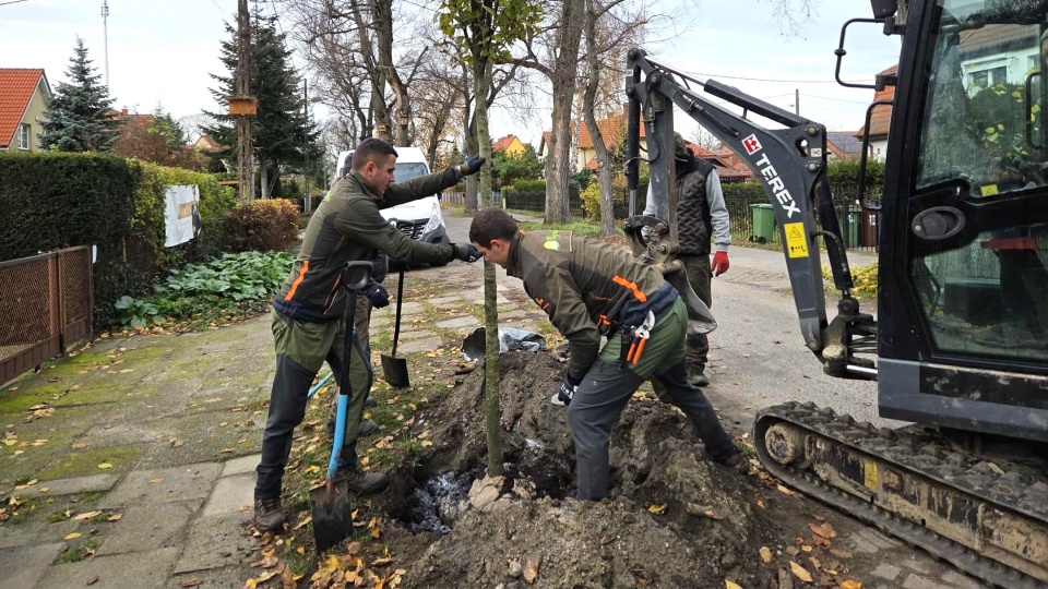 Fot. Urząd Miasta Szczecin