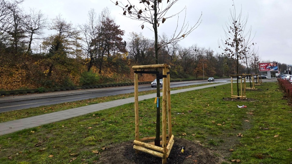 Fot. Urząd Miasta Szczecin