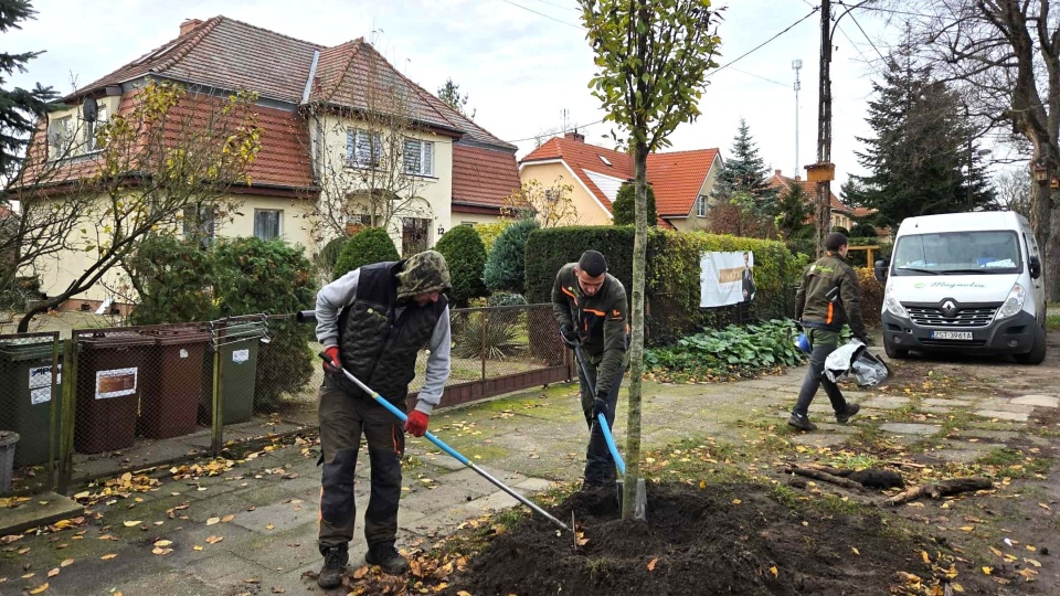 Fot. Urząd Miasta Szczecin