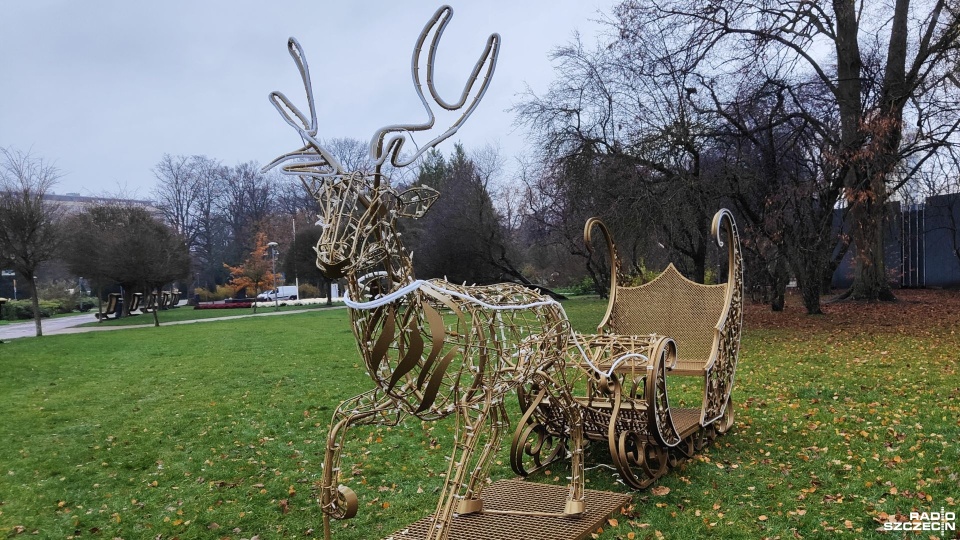 Fot. Przemysław Polanin [Radio Szczecin]