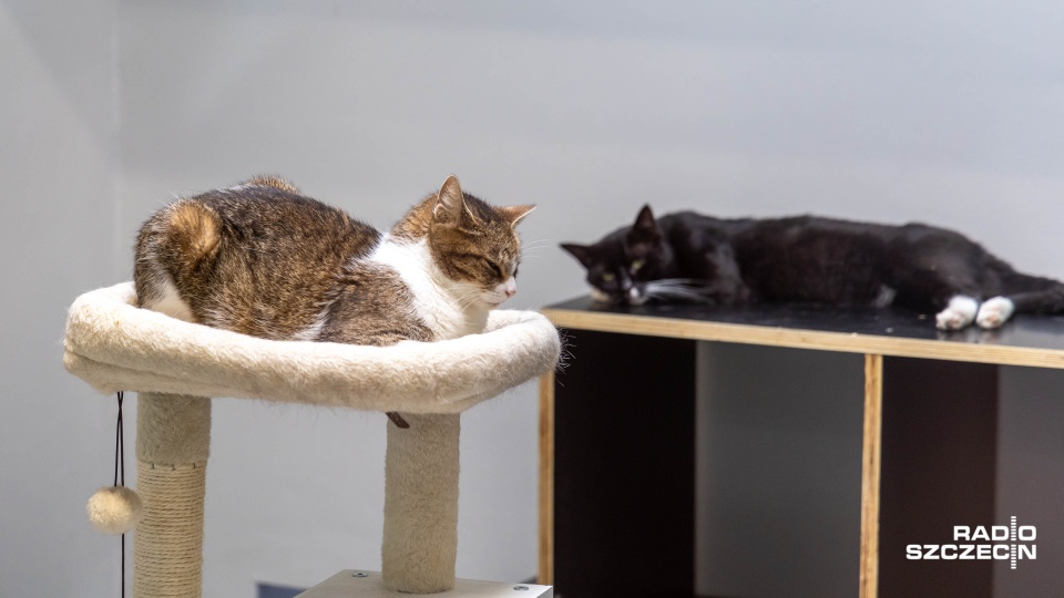 Zdjęcie ilustracyjne. Fot. Robert Stachnik [Radio Szczecin]