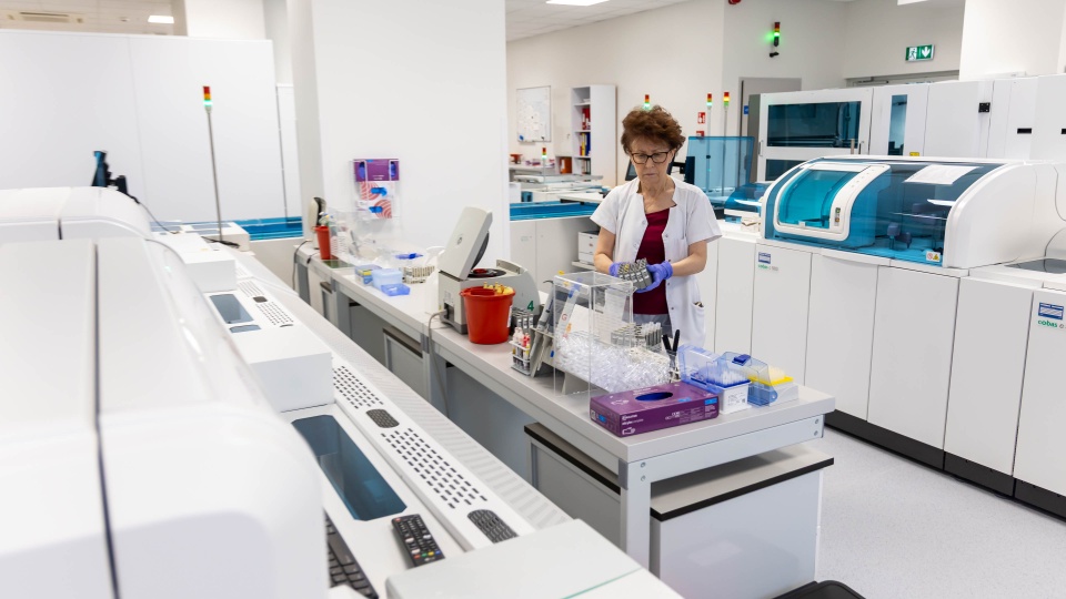 Fot. Robert Stachnik [Radio Szczecin]