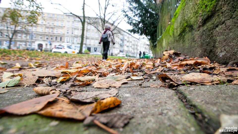 Fot. Weronika Łyczywek [Radio Szczecin]