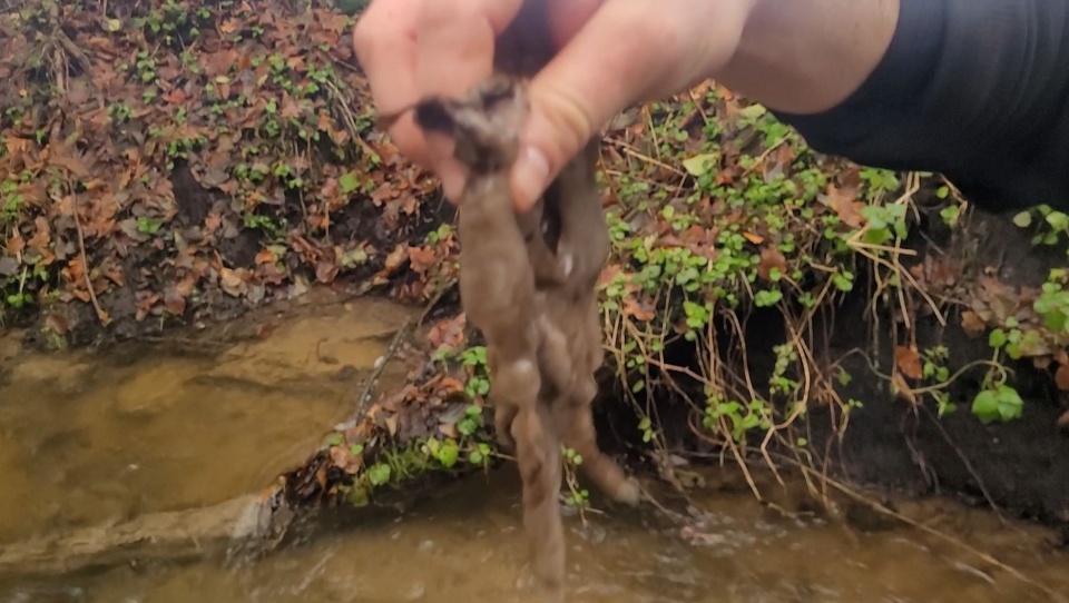 Mat. Społeczna Straż Rybacka w Kołobrzegu