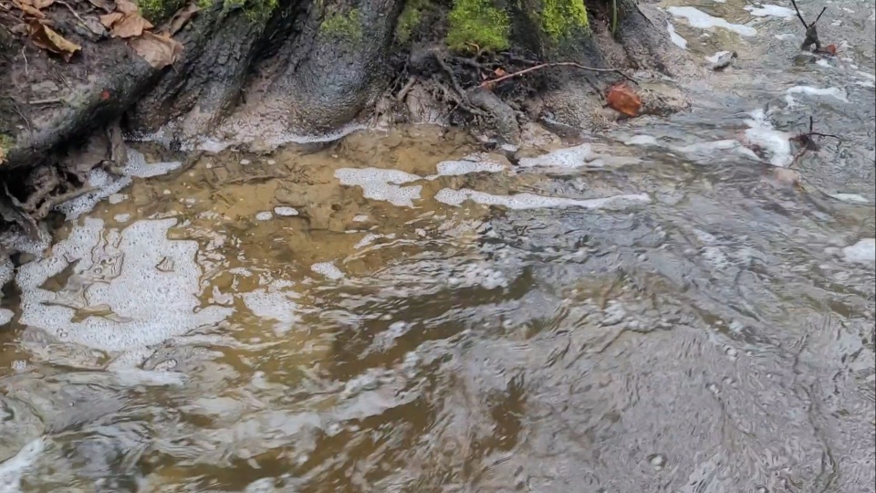 Mat. Społeczna Straż Rybacka w Kołobrzegu