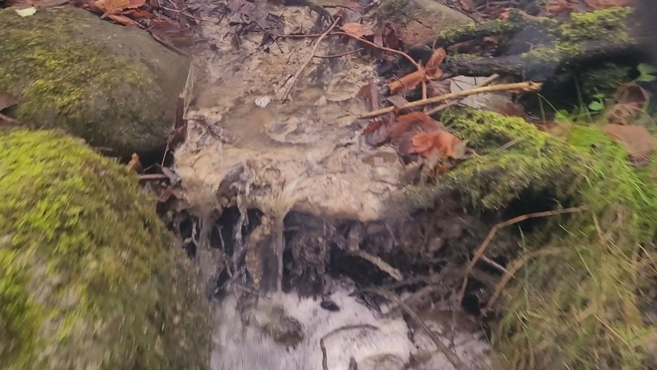 Mat. Społeczna Straż Rybacka w Kołobrzegu