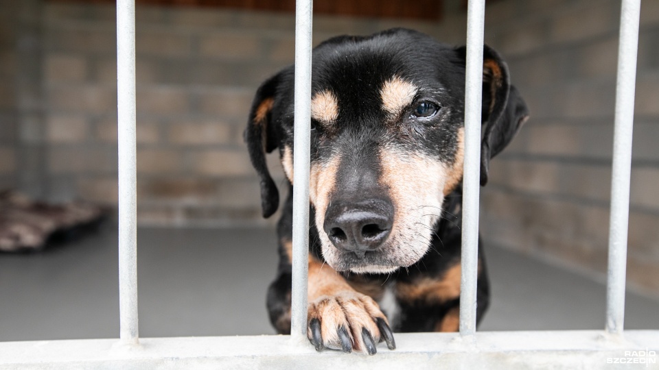 Fot. Weronika Łyczywek [Radio Szczecin]