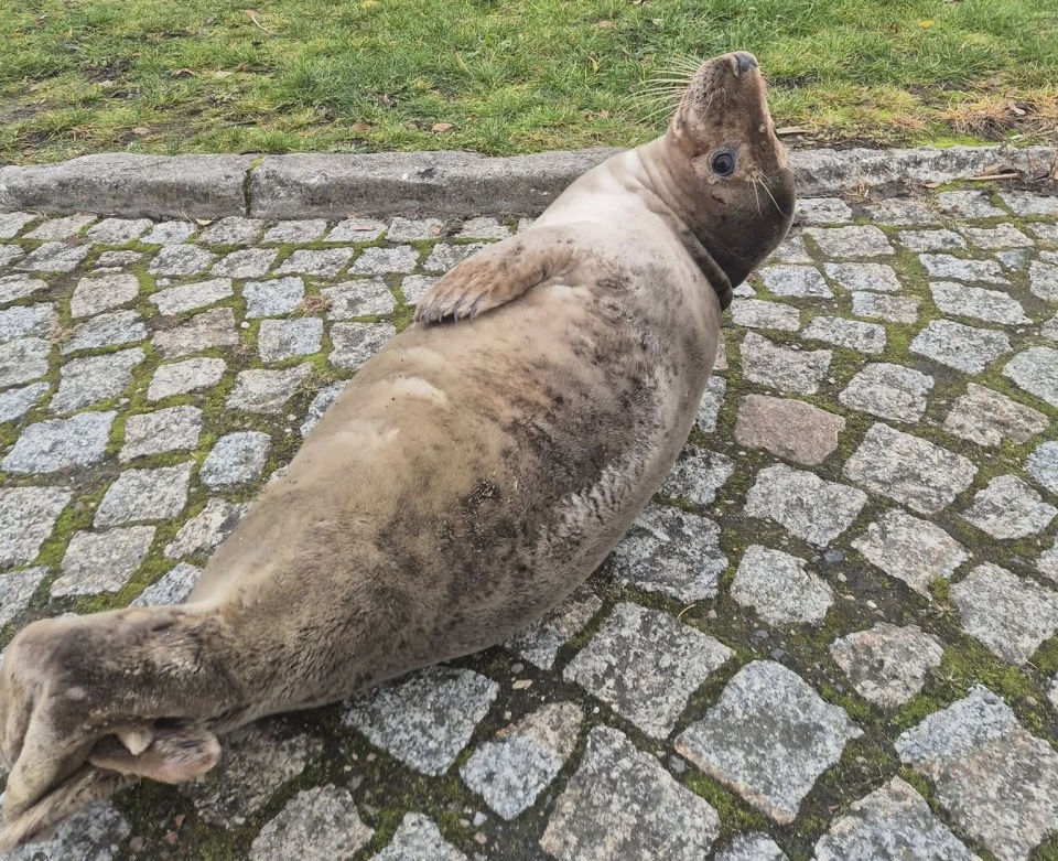 Fot. Zarząd Portu Morskiego