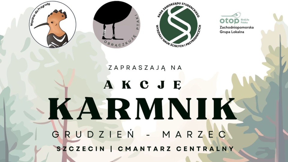 Materiały organizatora