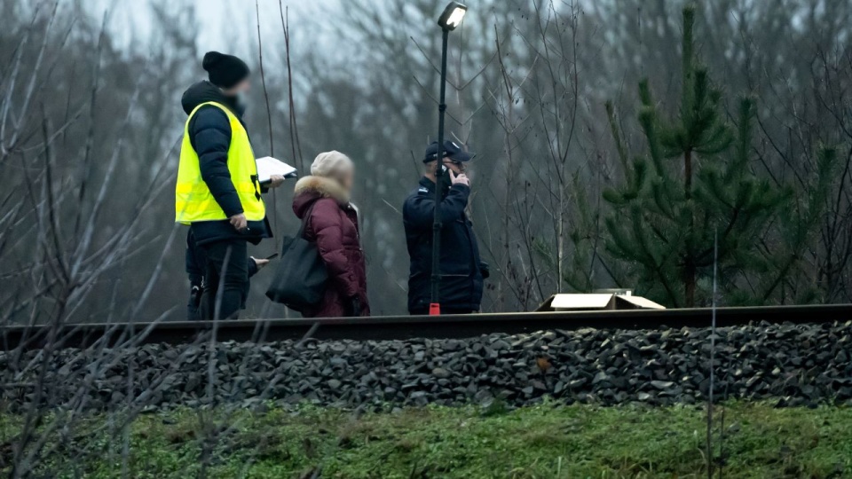 fot. PAP/Jakub Kaczmarczyk