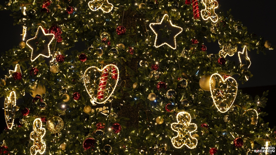 Fot. Kamila Kozioł [Radio Szczecin]