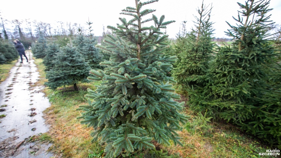 Fot. Weronika Łyczywek [Radio Szczecin]
