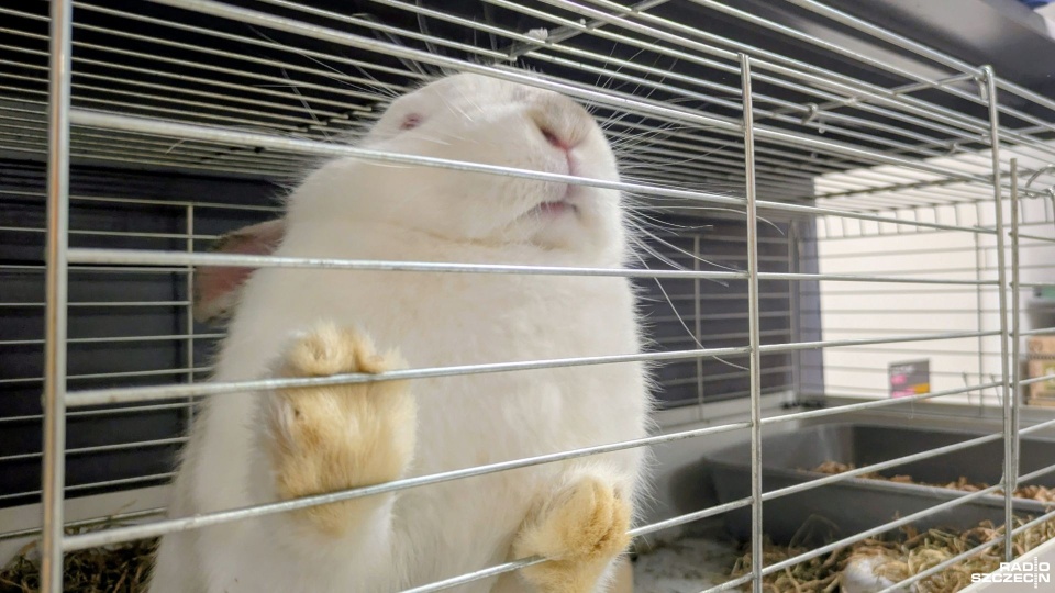 Fot. Maciej Papke [Radio Szczecin]