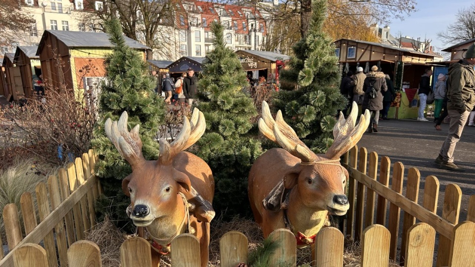 fot. Urząd Miasta Świnoujścia