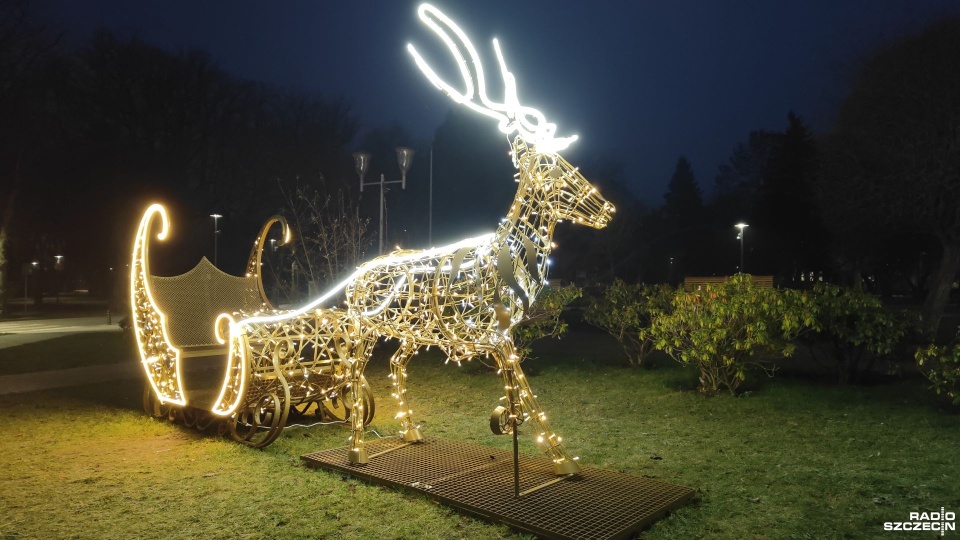 W tym roku w Kołobrzegu królują renifery [ZDJĘCIA]