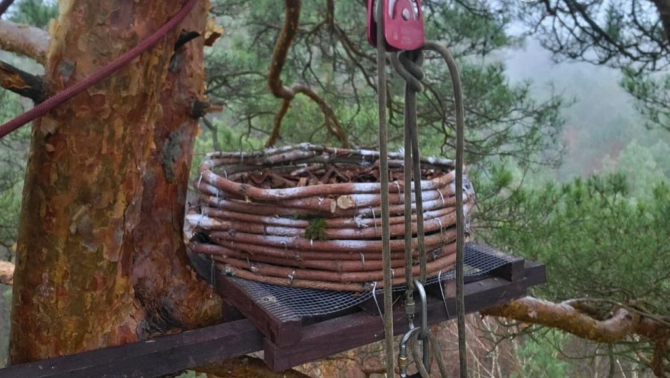 fot. Drawieński Park Narodowy/ Facebook