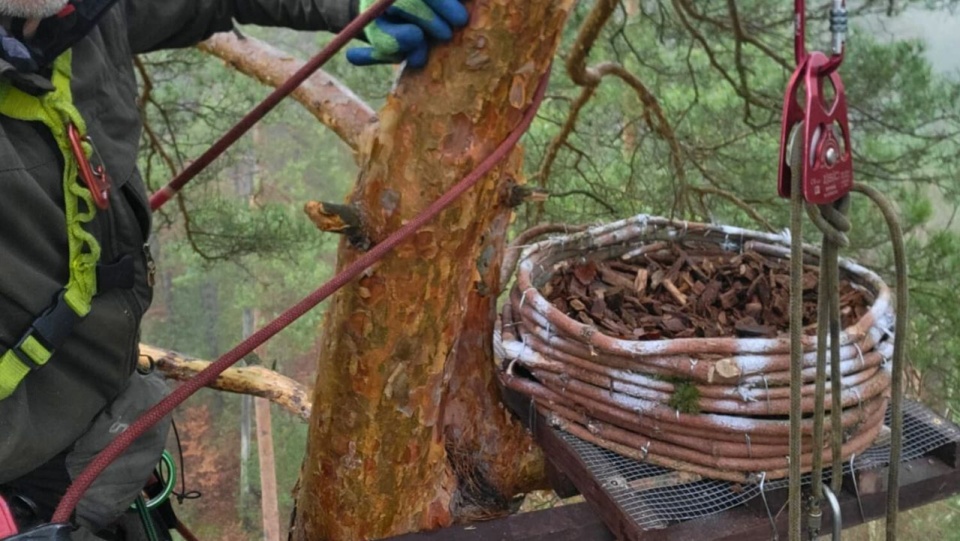 fot. Drawieński Park Narodowy/ Facebook