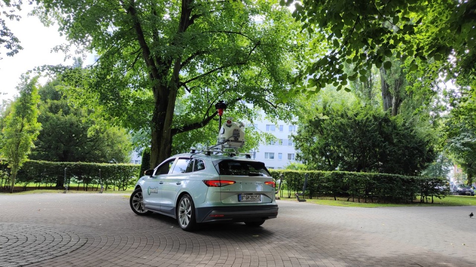 Kołobrzeg przeprowadził cyfrową inwentaryzację drzew