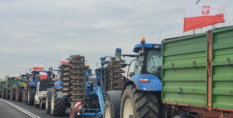 Fot. Tomasz Domański [Radio Szczecin]