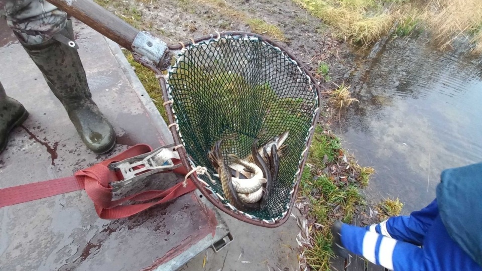 Fot. Facebook/Wody Polskie RZGW w Szczecinie