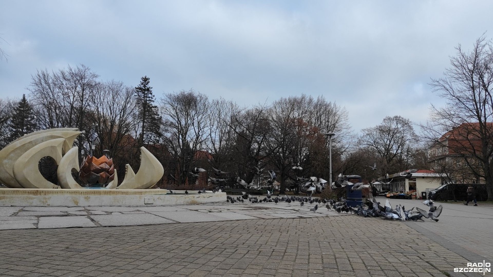 Fot. Przemysław Polanin