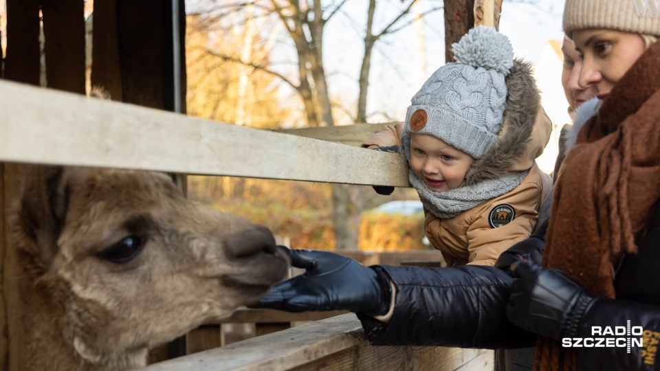 W Żydowcach można oglądać żywą szopkę bożonarodzeniową [WIDEO, ZDJĘCIA]