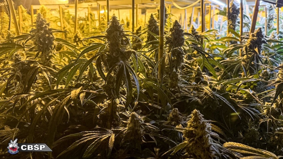 Fot. cbsp.policja.pl