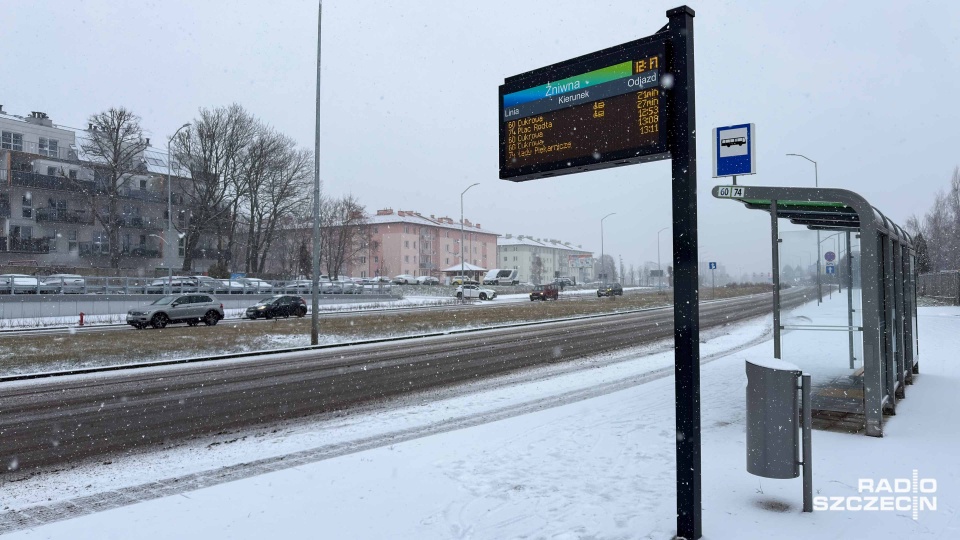 Fot. Robert Stachnik [Radio Szczecin]