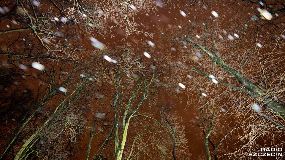 Pogoda na koniec roku zmienna i wietrzna